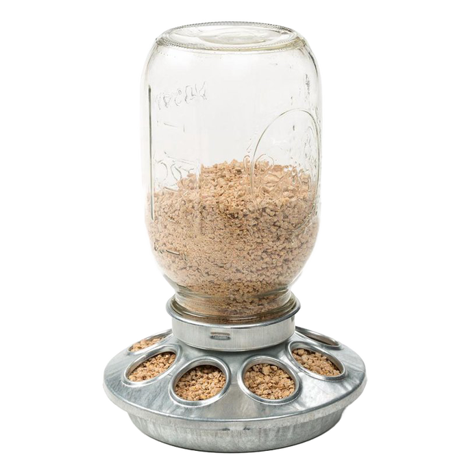 Galvanized metal base with individual feeding slots holding a clear quart jar filled with feed, designed for easy chicken access, featured in Farm, Garden & Tool and Animal Care collections.