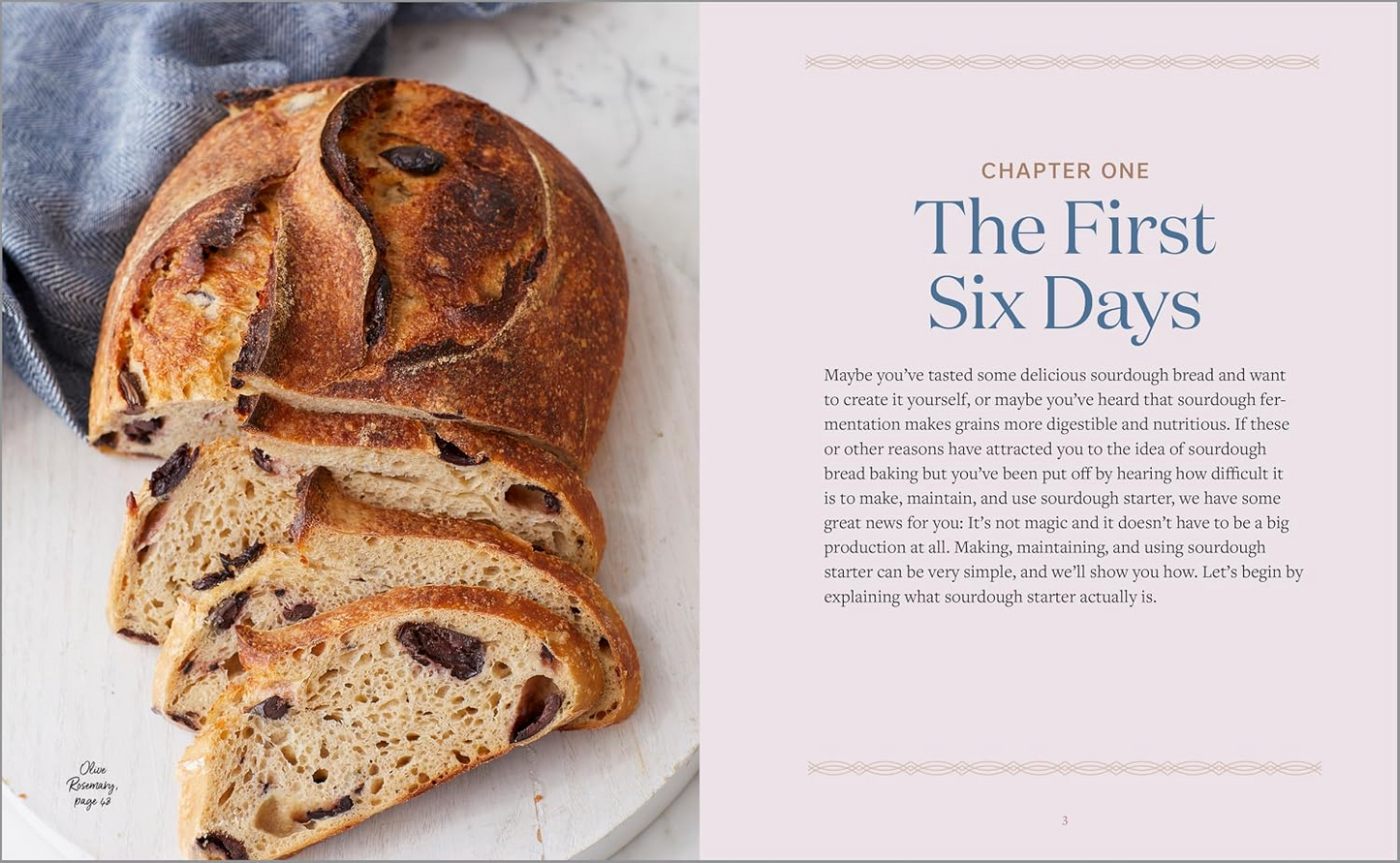 Sourdough Cookbook for Beginners