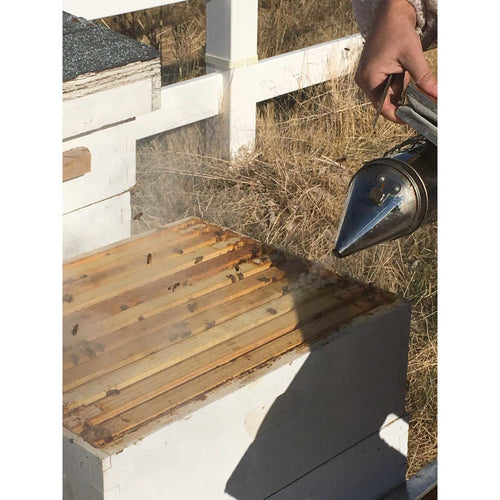 Handcrafted stainless steel beekeeping smoker with suede leather bellows and wire heat shield, used to calm bees while inspecting hives, featured in Farm, Garden & Tool and Beekeeping Supplies collections.