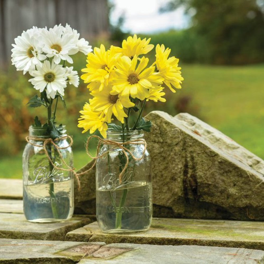 Two clear glass jars filled with water and tied with twine, each holding fresh white and yellow daisies, set on a rustic wooden surface outdoors, ideal for Kitchen & Food and Canning collections.
