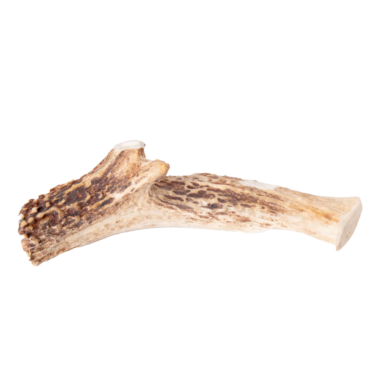 Naturally shed deer antler dog chew, handcrafted in the USA, organic and sustainable, providing a long-lasting, odor-free treat for pets, featured in Pet Supplies and Best Sellers collections.