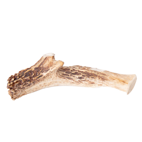 Naturally shed deer antler dog chew, handcrafted in the USA, organic and sustainable, providing a long-lasting, odor-free treat for pets, featured in Pet Supplies and Best Sellers collections.