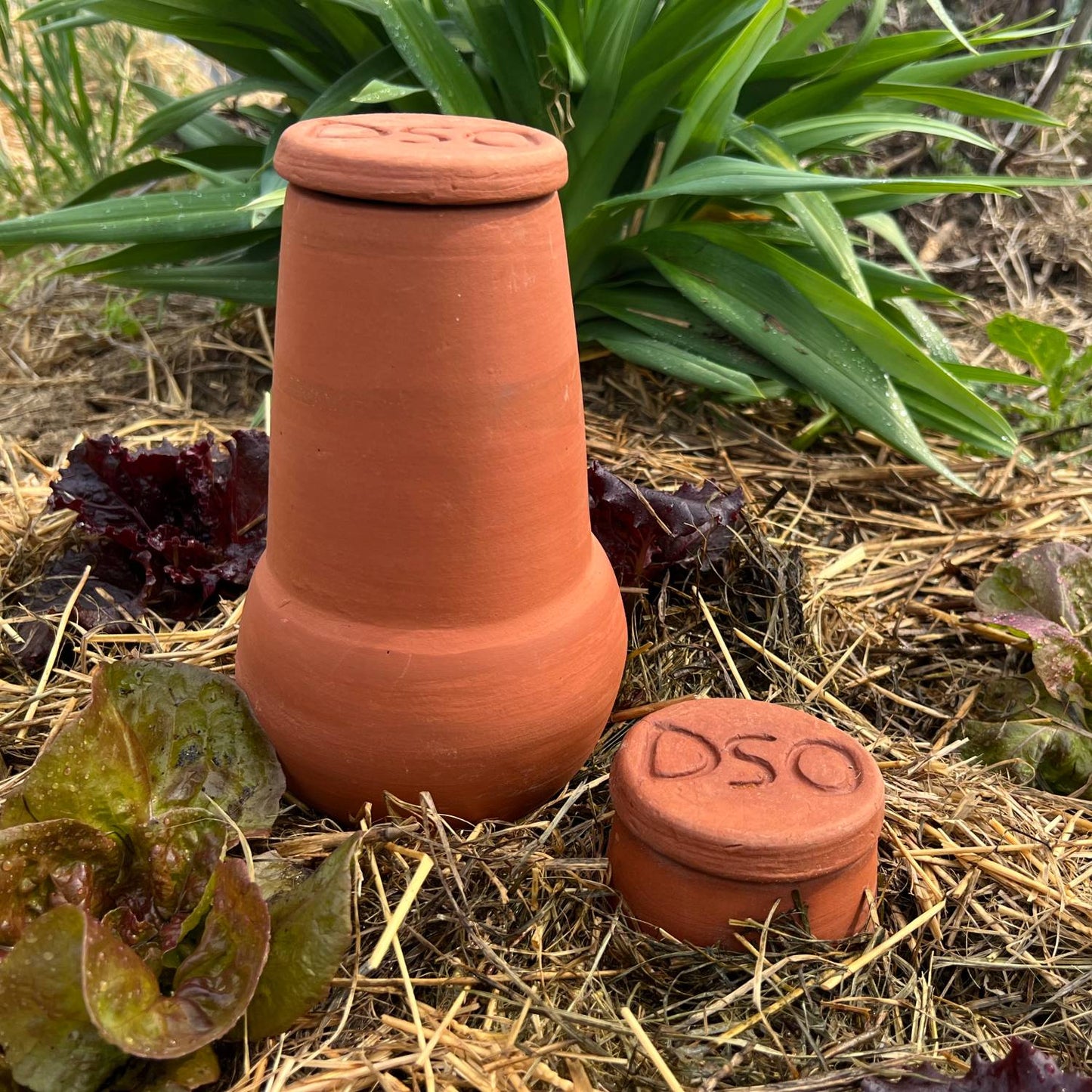 Handcrafted unglazed terra cotta watering pot with lid, buried in garden soil for slow water release, ideal for small garden beds and containers, featured in Farm, Garden & Tool and Garden Accessories collections.