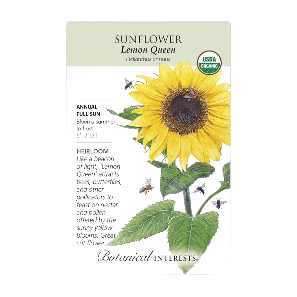 Packet of organic Lemon Queen sunflower seeds featuring a detailed illustration of a sunflower with bees, labeled USDA Organic, part of Farm, Garden & Tool, Seeds and Planting, Best Sellers, and Promo Eligible collections.