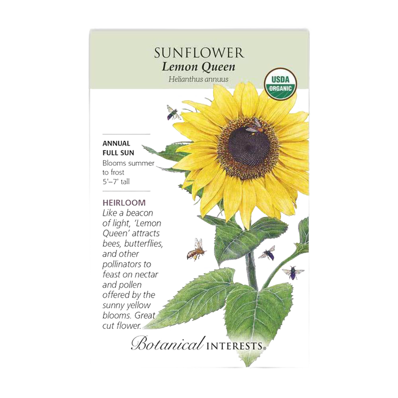 Packet of organic Lemon Queen sunflower seeds featuring a detailed illustration of a sunflower with bees, labeled USDA Organic, part of Farm, Garden & Tool, Seeds and Planting, Best Sellers, and Promo Eligible collections.