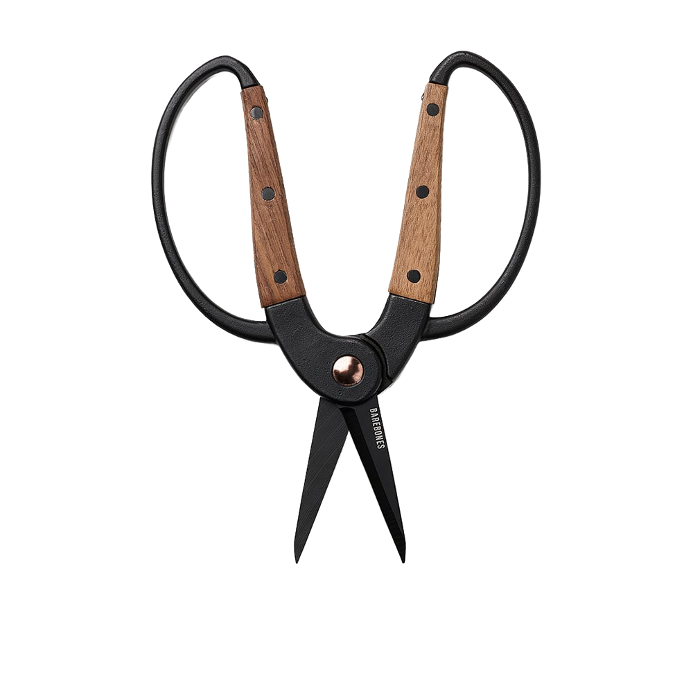 Small gardener's scissors with heat-treated stainless steel blades and wide walnut handles featuring ambidextrous design, ideal for precise herb harvesting in Farm, Garden & Tool and Garden Accessories collections.