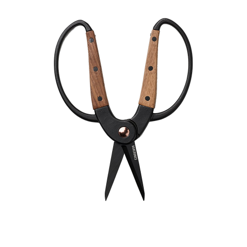 Small gardener's scissors with heat-treated stainless steel blades and wide walnut handles featuring ambidextrous design, ideal for precise herb harvesting in Farm, Garden & Tool and Garden Accessories collections.