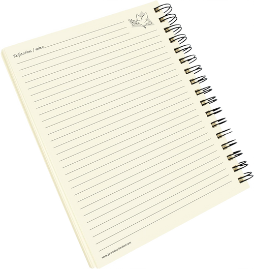 Gratitude Journal - Write it Down! Guided Journal