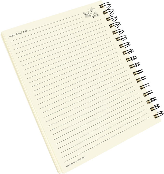Gratitude Journal - Write it Down! Guided Journal