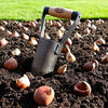 Handcrafted bulb planter with a sharpened metal cylinder and sustainable ash wood handle, embedded in soil surrounded by planted bulbs in a garden setting, perfect for Farm, Garden & Tool, Garden Accessories, Seeds and Planting, Best Sellers, and Promo Eligible collections.