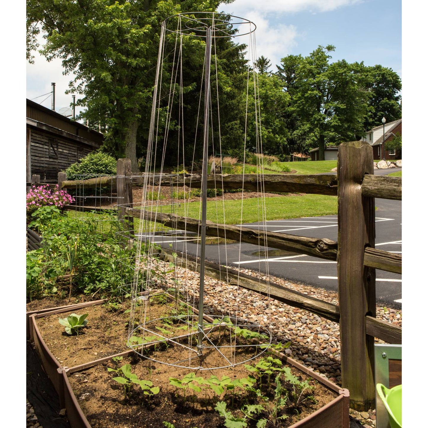 Vertical metal bean tower trellis supporting young climbing plants in a raised garden bed, crafted for space-saving gardening, featured in Farm, Garden & Tool, Seeds and Planting, USA Made collections.