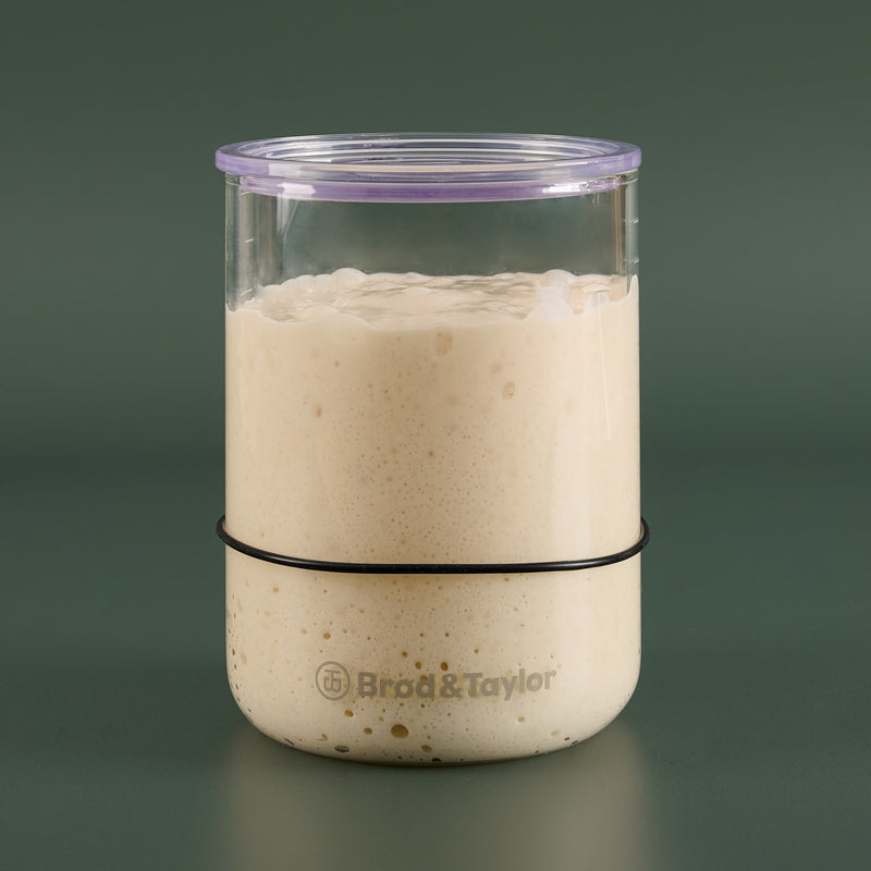 Durable borosilicate glass jar with clear wide mouth and black measurement ring, holding bubbly sourdough starter, ideal for Kitchen & Food, Baking Supplies, and Bread Making collections.