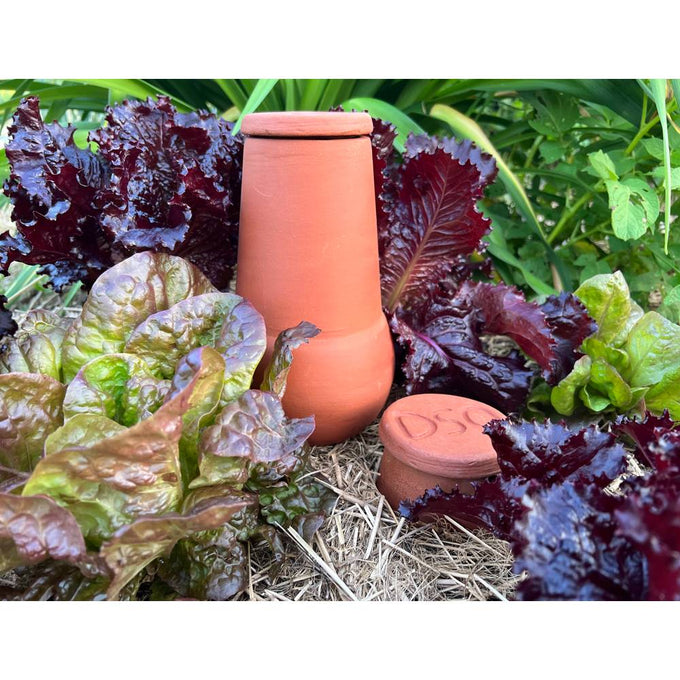 Handcrafted unglazed terra cotta watering pot with lid, set among leafy vegetables in a garden bed, designed for slow water release and featured in Farm, Garden & Tool, Garden Accessories, Lawncare, Best Sellers, and Promo Eligible collections.