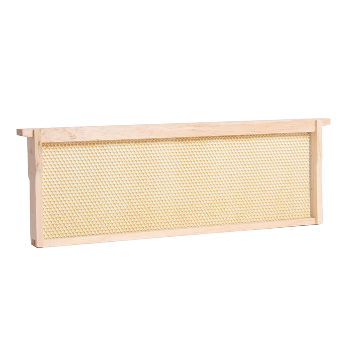 Handcrafted medium wood bee frame featuring a heavy waxed plastic foundation, durable and ready for 5, 8, or 10-frame hives, part of USA Made, Amish Made, and Beekeeping Supplies collections.