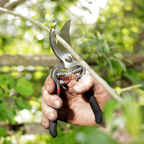 Hand gripping ergonomic bypass pruners with drop-forged steel blades cutting a live green stem in a garden setting, featured in Farm, Garden & Tool and Lawncare collections.
