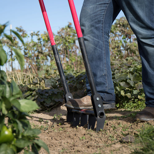 Person using a handcrafted steel broadfork with sharp angled tines and red handles to loosen soil in a garden, part of Farm, Garden & Tool and Digging and Cultivating collections.