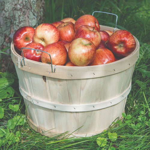 Handcrafted raw poplar wood half bushel basket with metal wire handles, filled with ripe apples, set on grass; ideal for Farm, Garden & Tool, Garden Accessories, USA Made, Best Sellers collections.