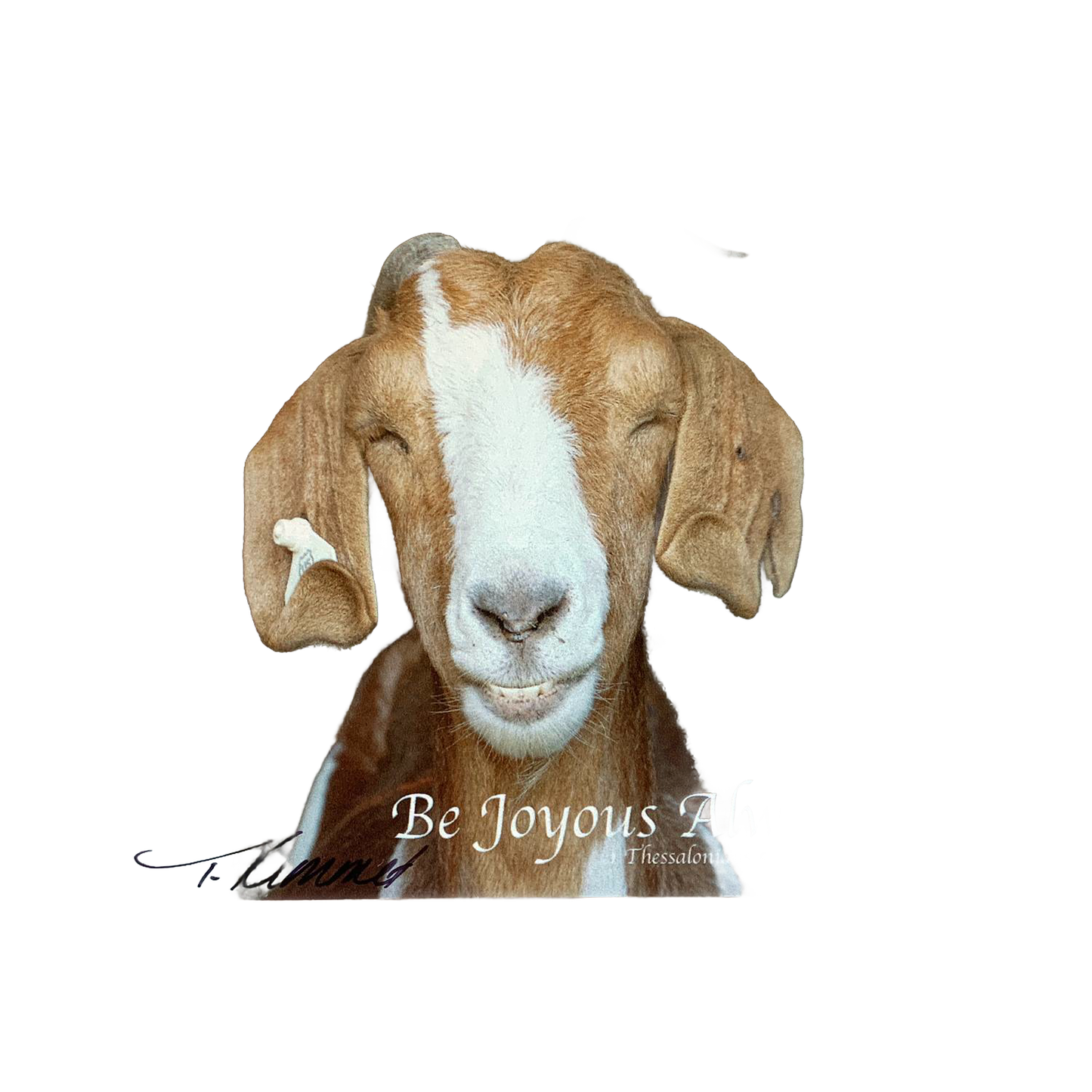 Handcrafted 5"x7" plaque featuring a smiling brown and white goat with closed eyes and the uplifting Bible verse “Be Joyous Always” from 1 Thessalonians, perfect for Home & Decor, Best Sellers, and Promo Eligible collections.