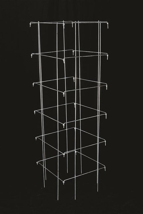 Pair of handcrafted collapsible square steel tomato cages with durable 9-gauge galvanized wire, designed for garden support, featured in Farm, Garden & Tool, Seeds and Planting, USA Made, and Best Sellers collections.