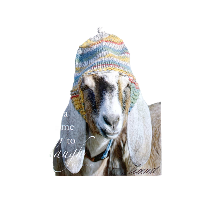 Handcrafted 5"x7" plaque featuring a goat wearing a colorful knit hat with the Bible verse “a time to laugh” from Ecclesiastes 3:4, ideal uplifting decor for Home & Decor and Best Sellers collections.