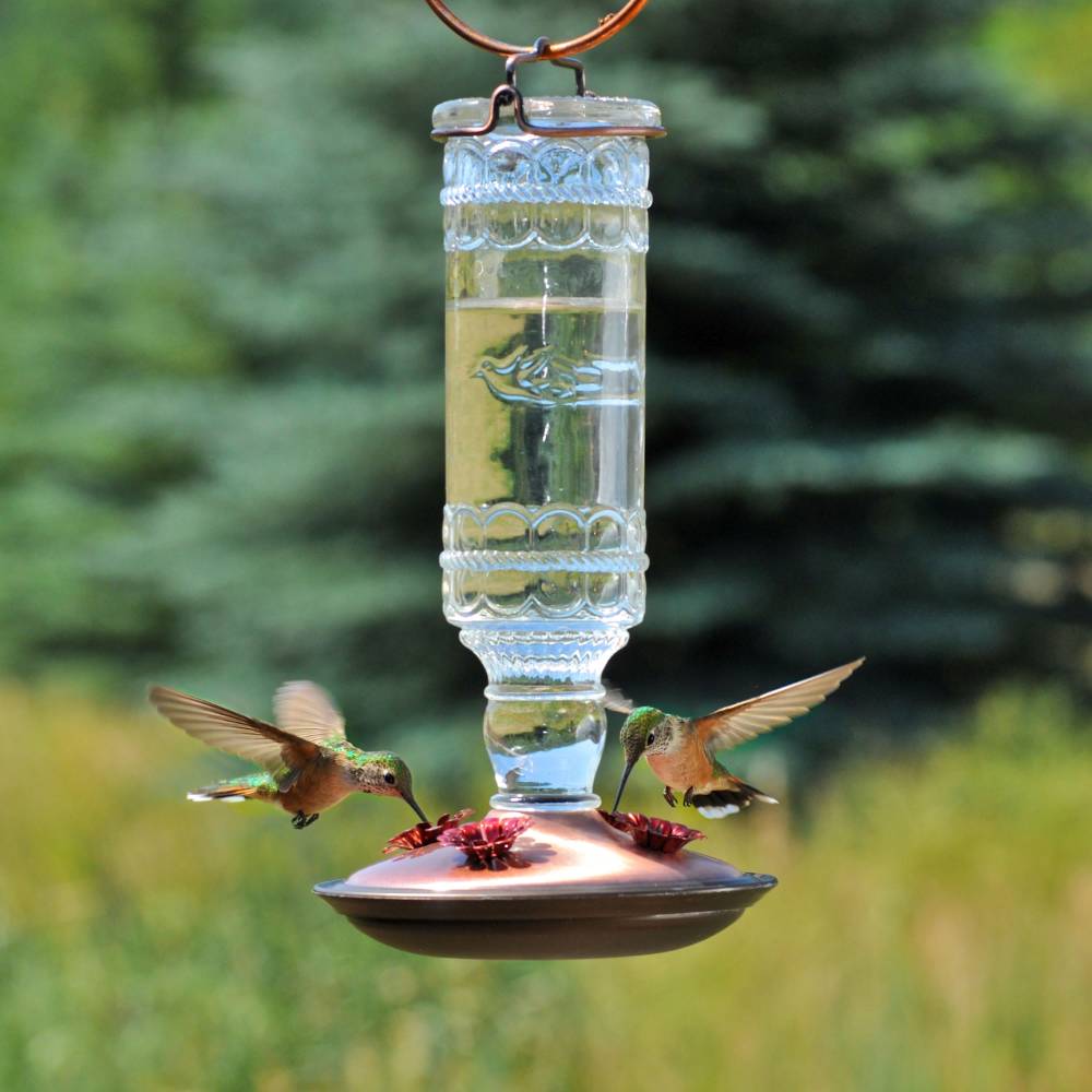 Two hummingbirds feeding from a handcrafted clear vintage-style glass bottle feeder with embossed details, brushed copper base, and four flower-shaped ports, set outdoors in a garden.