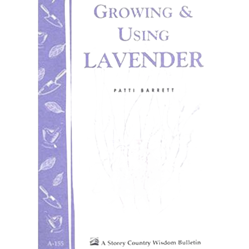 Purple guidebook cover titled Growing and Using Lavender featuring an illustration of lavender stems, part of Toys, Books & Games, Home and Garden How-To Books, and Best Sellers collections.