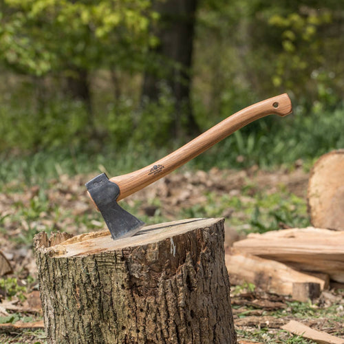 Handcrafted small forest axe with a wooden handle and forged steel blade embedded in a tree stump, ideal for chopping and hauling wood in Farm, Garden & Tool and Axes collections.