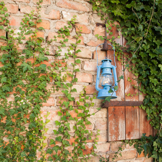 Handcrafted light blue galvanized oil lantern with thermal heat-resistant globe, hanging on a rustic brick wall surrounded by green ivy, suited for Lamps & Lighting and Camping collections.