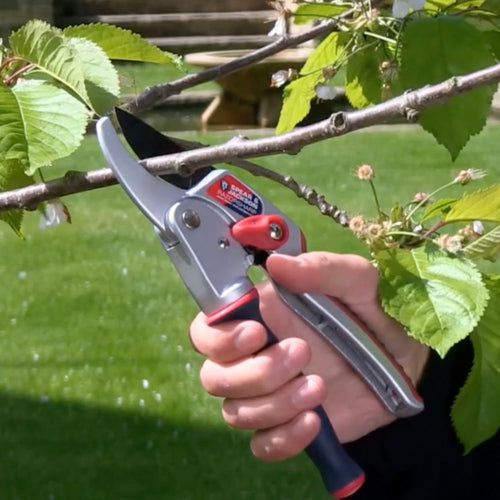 Hand gripping ergonomic ratchet anvil pruners with twist handle cutting a woody branch outdoors, designed to reduce hand fatigue, featured in Farm, Garden & Tool and Lawncare collections.