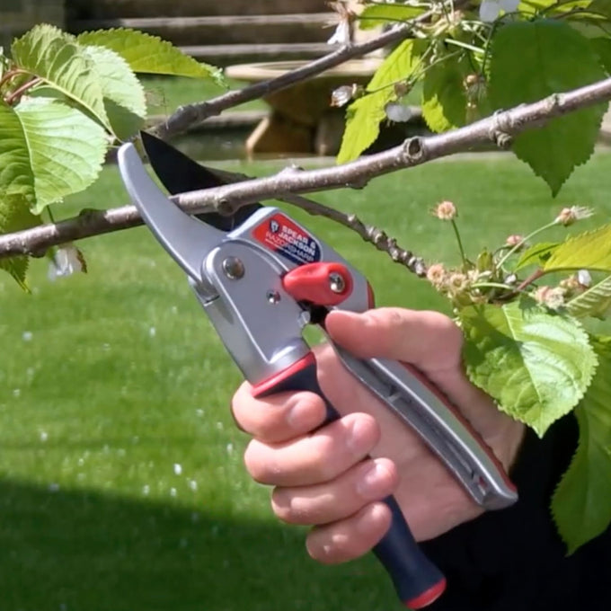 Hand gripping ergonomic ratchet anvil pruners with twist handle cutting a woody branch outdoors, designed to reduce hand fatigue, featured in Farm, Garden & Tool and Lawncare collections.