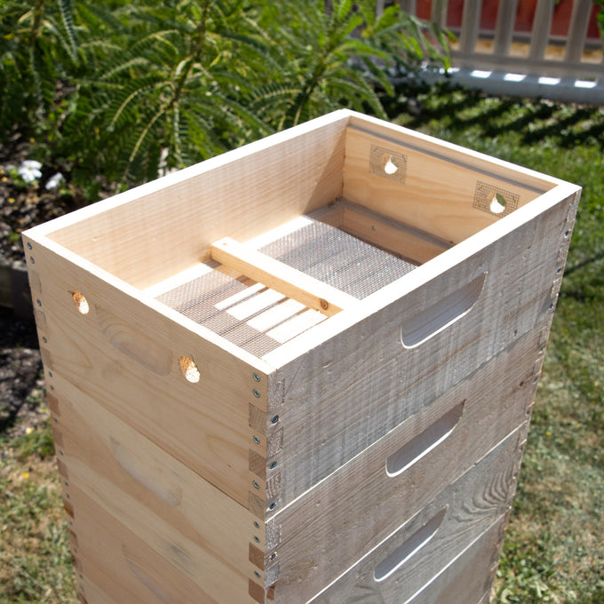 Handcrafted wooden quilt box designed for moisture control in beekeeping, featuring mesh screen and sturdy dovetail joints, Amish made in the USA, ideal for farm and garden use.