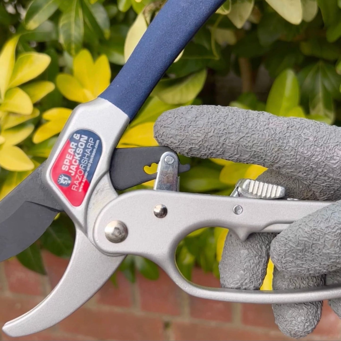 Close-up of ratchet anvil pruners with blue handle and silver metal body, held by a gloved hand, designed for cutting older and dead wood, featured in Farm, Garden & Tool and Lawncare collections.