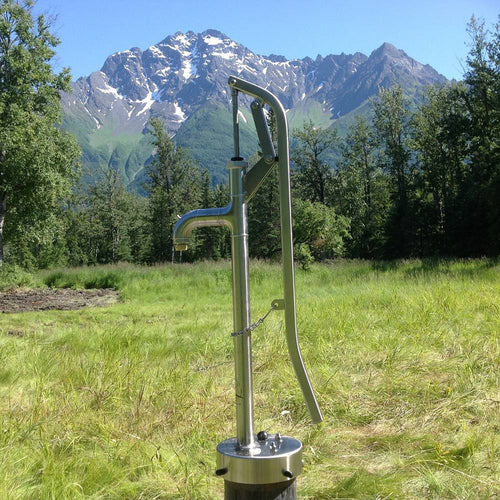 Handcrafted stainless steel deep well pump head installed outdoors in a grassy field with forest and mountains in the background, made in the USA and featured in water pumps and appliances collections.