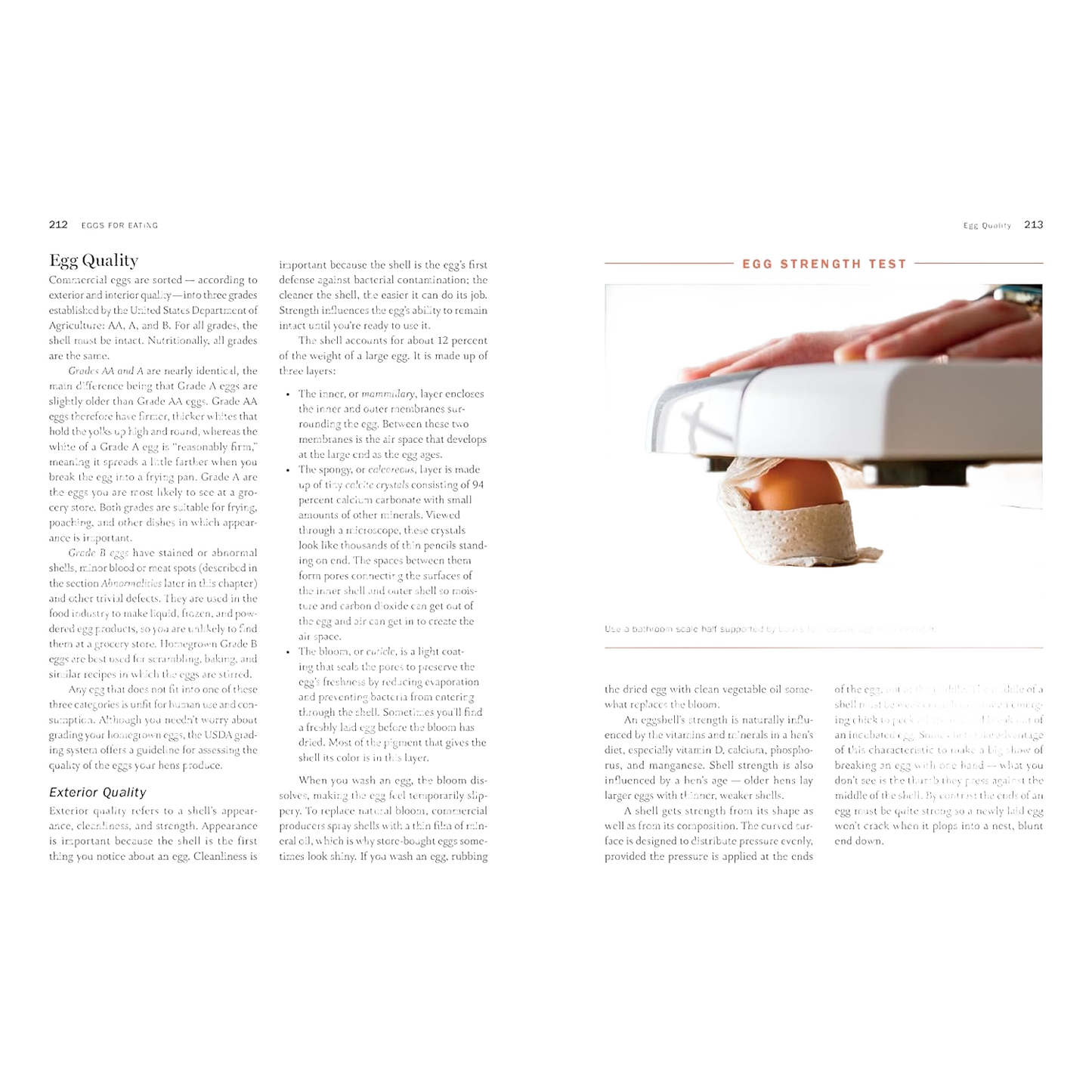 Open two-page spread from a farming guidebook showing detailed text on poultry care and a photo of hands using an egg candler to check an egg, part of Farm, Garden & Tool, Toys, Books & Games, Chicken Accessories, Books, Farm and Livestock Books, and Best Sellers collections.