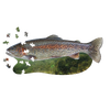 Unique-shaped 300-piece trout puzzle featuring detailed fish illustration with scattered puzzle pieces, part of children's toys, puzzles, and best sellers collections.