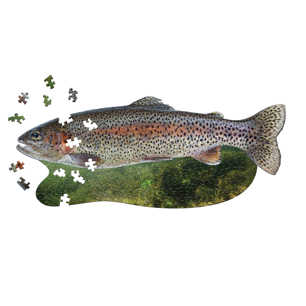 Unique-shaped 300-piece trout puzzle featuring detailed fish illustration with scattered puzzle pieces, part of children's toys, puzzles, and best sellers collections.