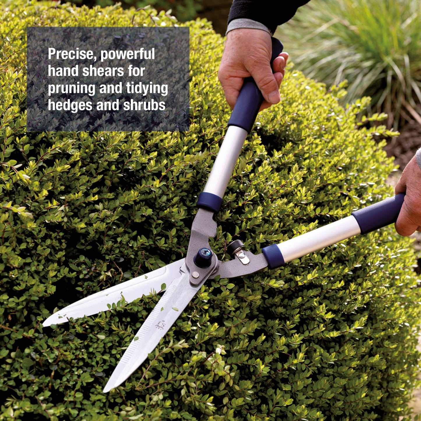 Notched hedge shears with chrome-plated, hardened C50 carbon steel blades and cushioned blue handles, lightweight yet durable for pruning thicker stems in garden and farm settings.