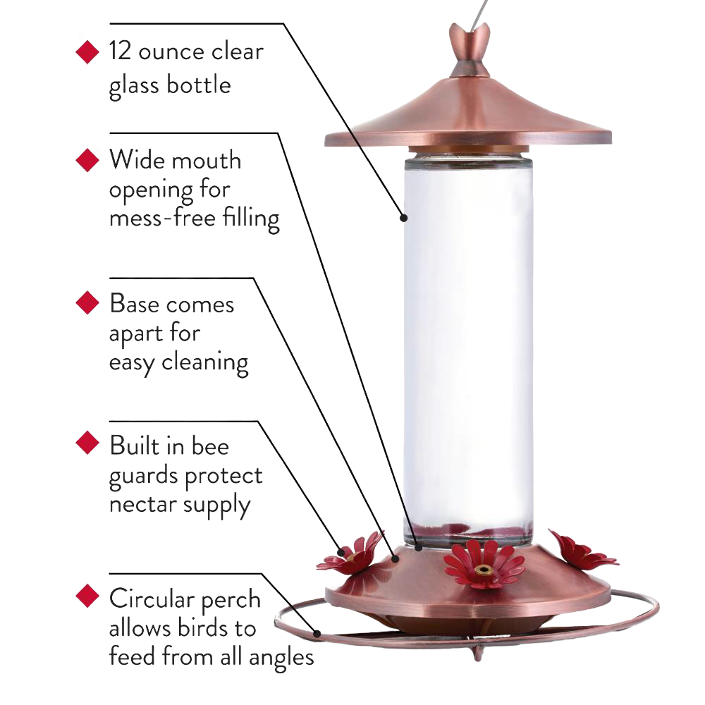 Clear glass hummingbird feeder with brushed copper top and base, featuring four red flower-shaped feeding ports, metal hanger, and easy-removal design for Farm, Garden & Tool and Animal Care collections.