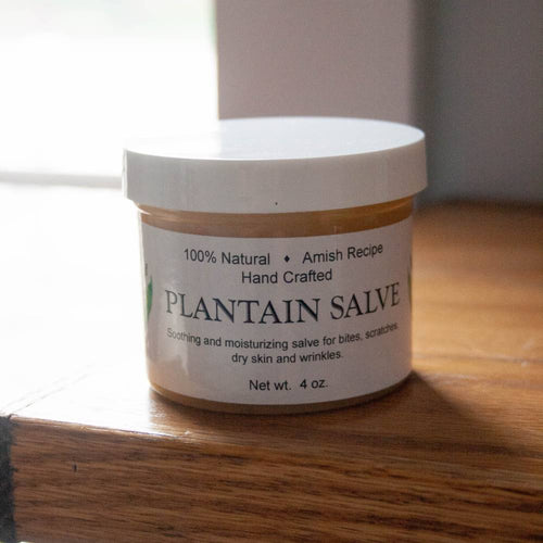 Handcrafted jar of all-natural plantain salve with Amish recipe, soothing and moisturizing for bites, scratches, dry skin, featured in Health & Wellness, USA Made, and Best Sellers collections.