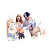Colorful scene of various dog breeds gathered around a blue bench with flowers and toys, captured in a vibrant, hand-illustrated style for puzzles and games collections.