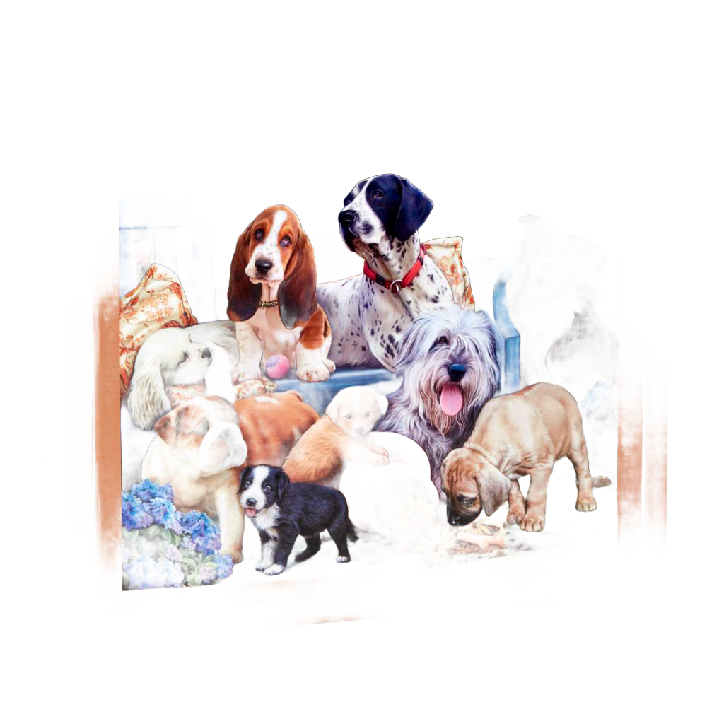 Colorful scene of various dog breeds gathered around a blue bench with flowers and toys, captured in a vibrant, hand-illustrated style for puzzles and games collections.