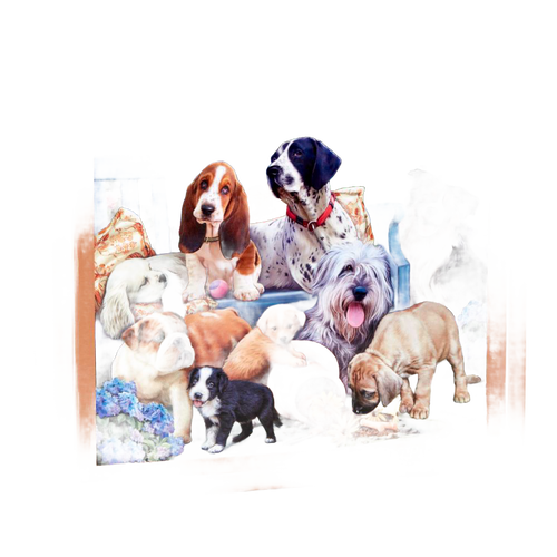 Colorful scene of various dog breeds gathered around a blue bench with flowers and toys, captured in a vibrant, hand-illustrated style for puzzles and games collections.
