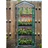 Tall compact greenhouse with four green wire grid shelves holding various potted plants and flowers, featuring a clear plastic zippered roll-up door for easy access, ideal for Farm, Garden & Tool, Garden Accessories, Seeds and Planting, Best Sellers, and Promo Eligible collections.
