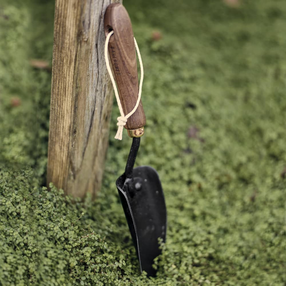 Garden spade hand trowel with an ergonomic walnut handle and rust-resistant black blade, resting against a wooden post among green ground cover, perfect for Farm, Garden & Tool collections.