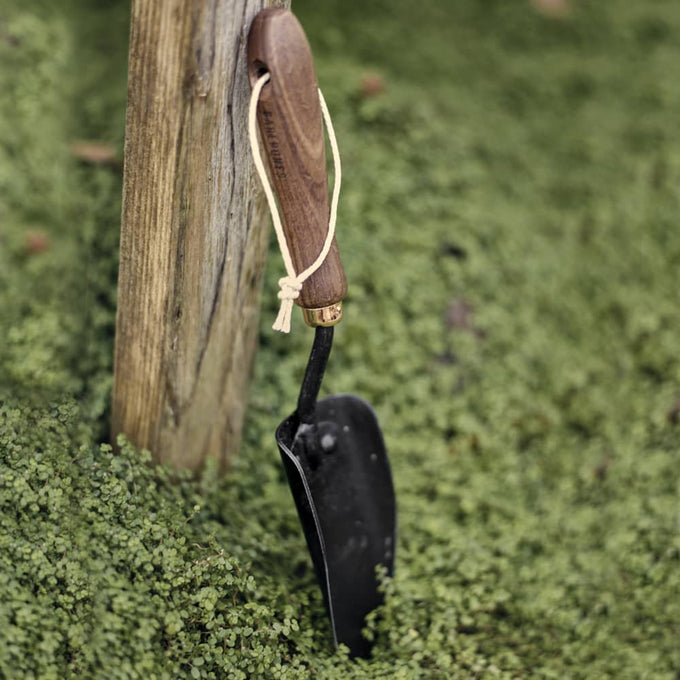 Garden spade hand trowel with an ergonomic walnut handle and rust-resistant black blade, resting against a wooden post among green ground cover, perfect for Farm, Garden & Tool collections.