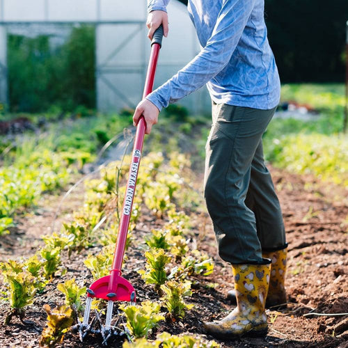 Person using a long-handled garden weasel with rust-proof serrated tines and a red comfort-grip handle to loosen soil and remove weeds in a vegetable garden, featured in Farm, Garden & Tool and Digging and Cultivating collections.