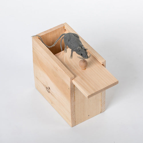 Handcrafted wooden prank box with a spring-loaded gray mouse that pops out to surprise friends and family, made in USA, featured in Toys, Children's Toys, and Wooden Toys collections.