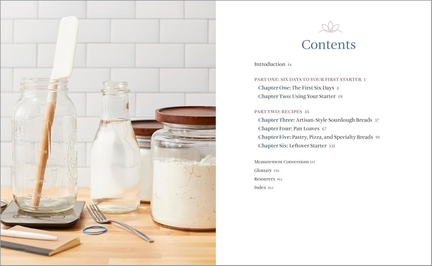 Sourdough Cookbook for Beginners