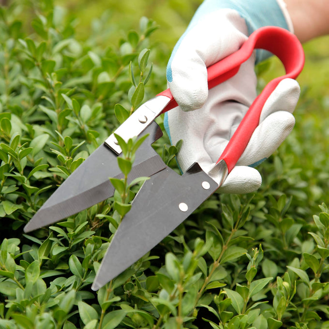 Close-up of gloved hand using compact garden shears with sharp carbon steel blades and red handles to trim dense green shrubbery, part of farm and garden tool collections.