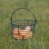 Small wire basket with handle holding several fresh eggs, designed for easy collecting and cooling, featured in Farm, Garden & Tool, Animal Care, Chicken Accessories, and Best Sellers collections.